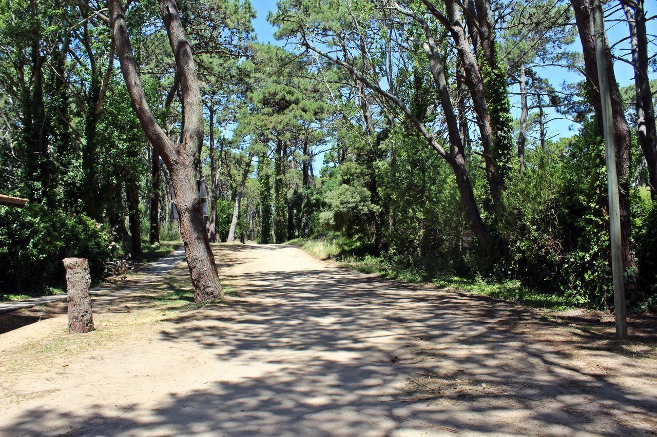 Ramma Camping Hostel Villa Gesell Εξωτερικό φωτογραφία